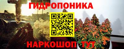 шишки Комсомольск-на-Амуре