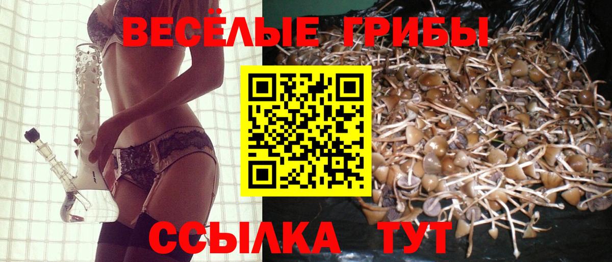 Галлюциногенные грибы ЛСД Шарыпово