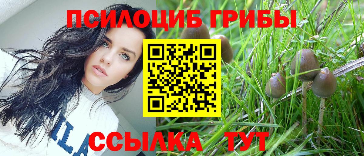 Галлюциногенные грибы мухоморы  магазин    Шарыпово  Вход с VPN 